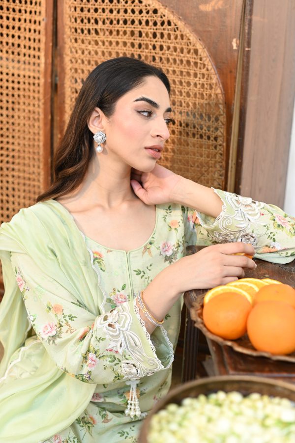 Basil Breeze - Image 3