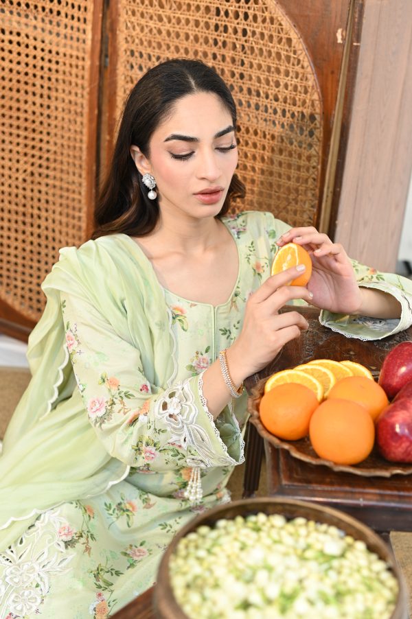 Basil Breeze - Image 2