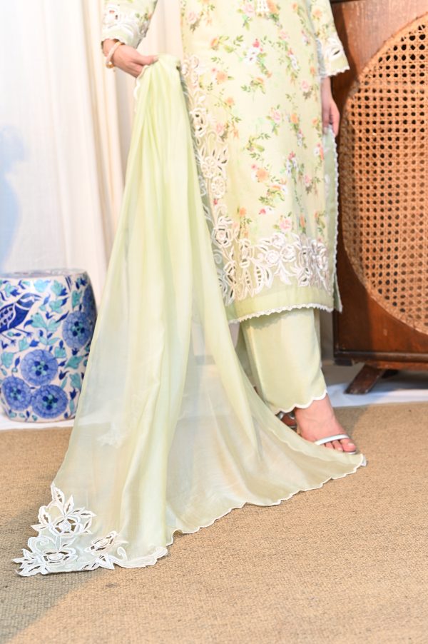 Basil Breeze - Image 9