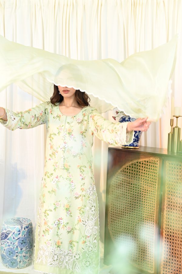 Basil Breeze - Image 8