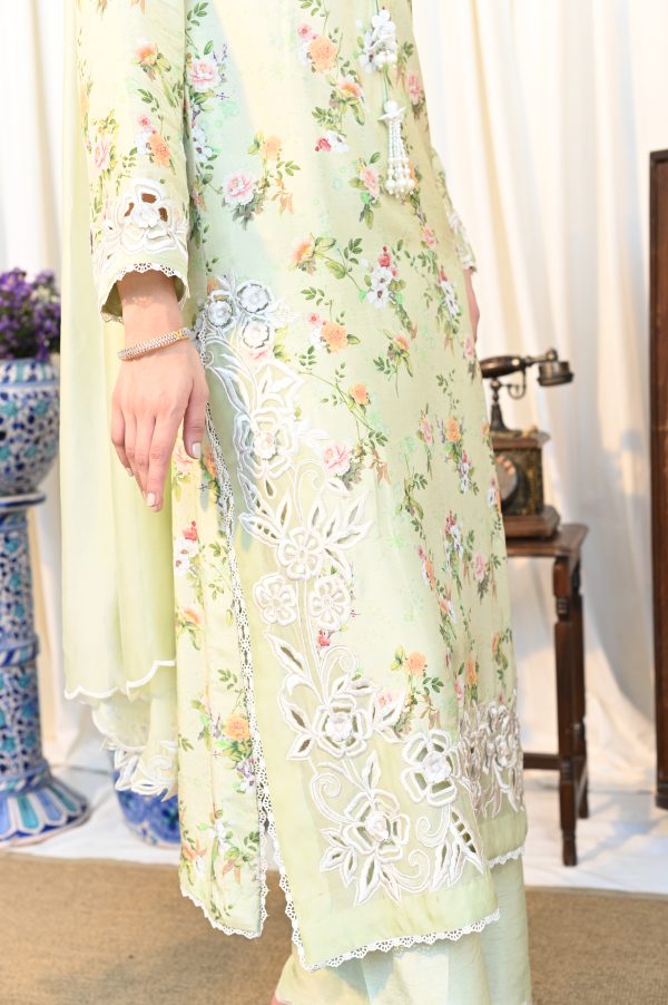Basil Breeze - Image 7