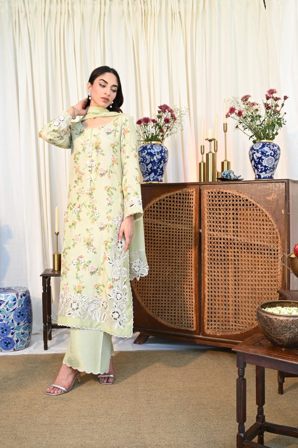 Basil Breeze - Image 5