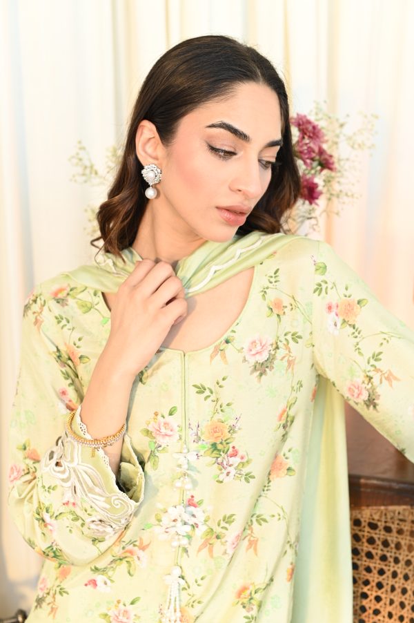 Basil Breeze - Image 1